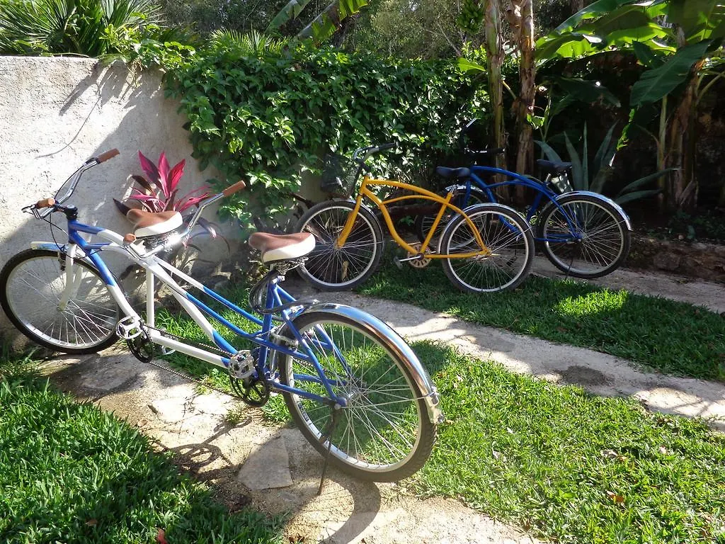 Casa Mango Bed and Breakfast Tulum Pueblo Mexico