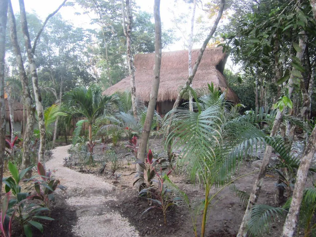 Casa Mango Bed and Breakfast Tulum Pueblo