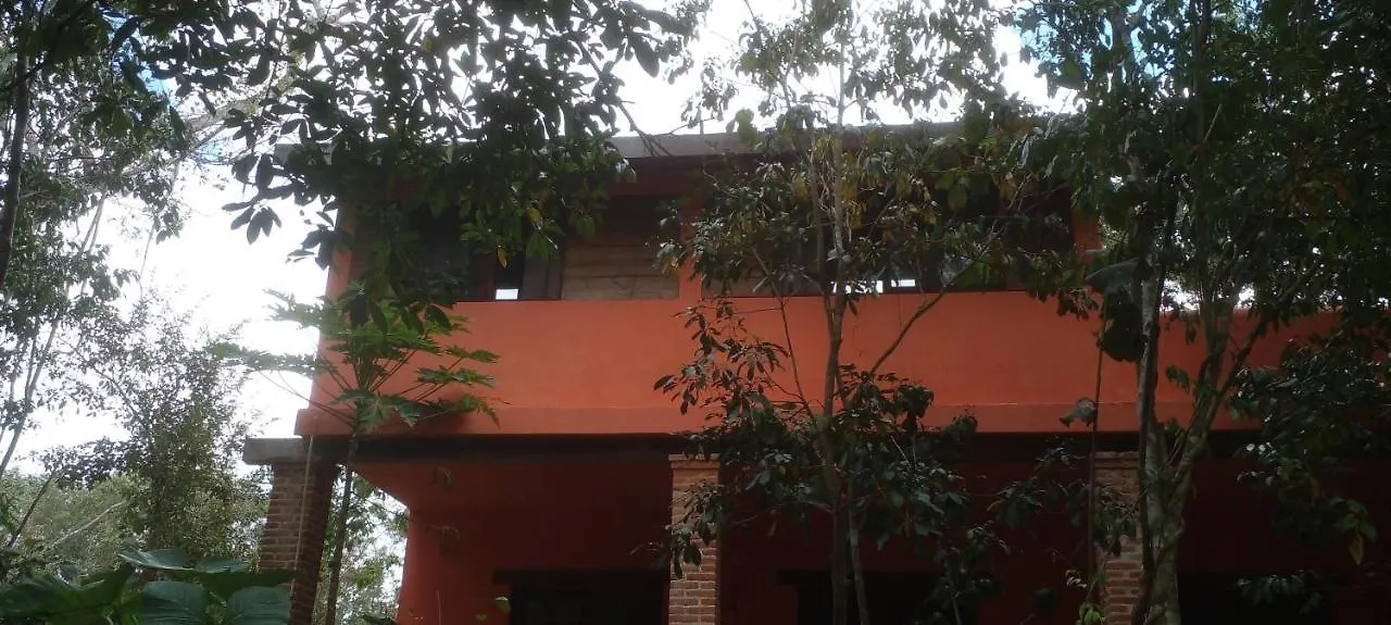 ** Bed & Breakfast Casa Mango Bed and Breakfast Tulum Mexico