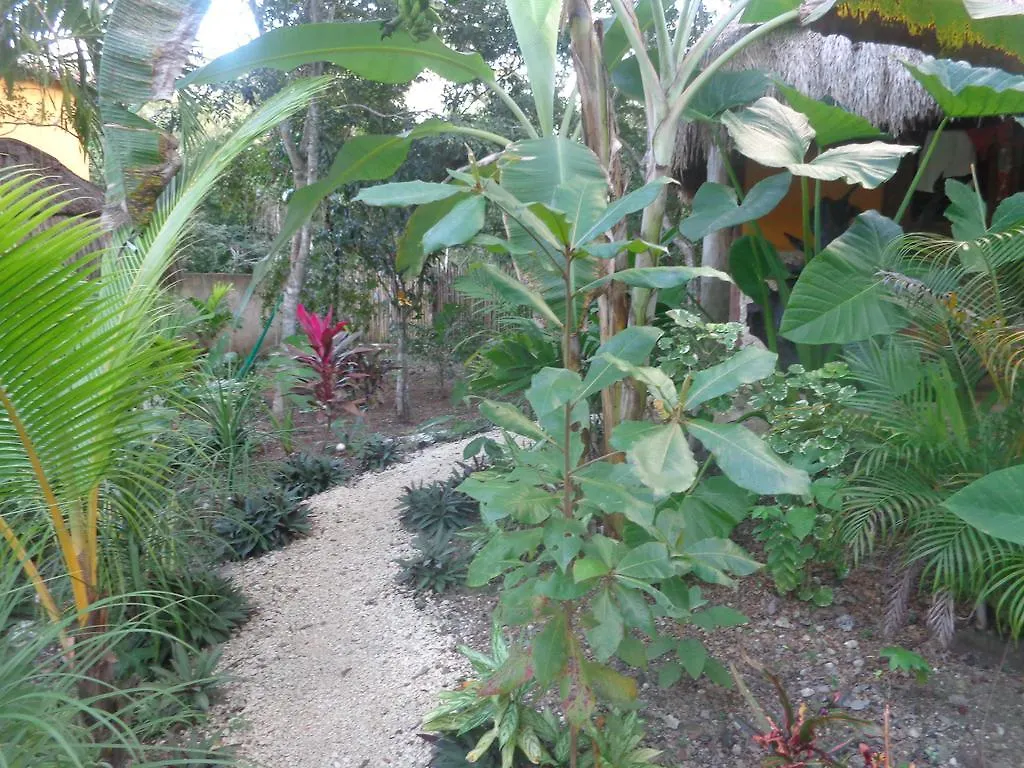 Casa Mango Bed and Breakfast Tulum Mexico