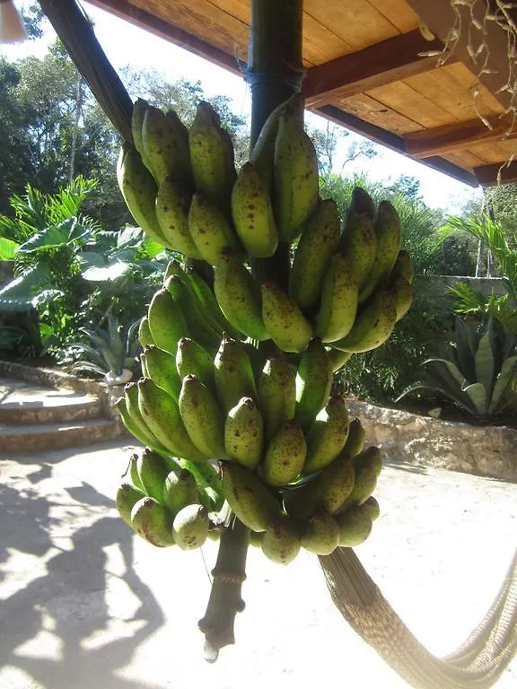 ** Bed & Breakfast Casa Mango Bed and Breakfast Tulum Mexico