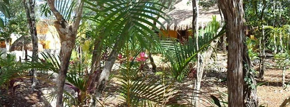 Casa Mango Bed and Breakfast Tulum