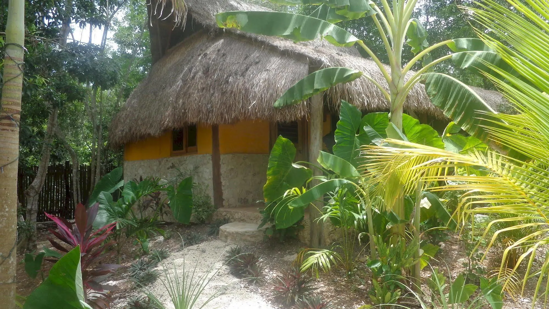Bed & Breakfast Casa Mango Bed and Breakfast Tulum