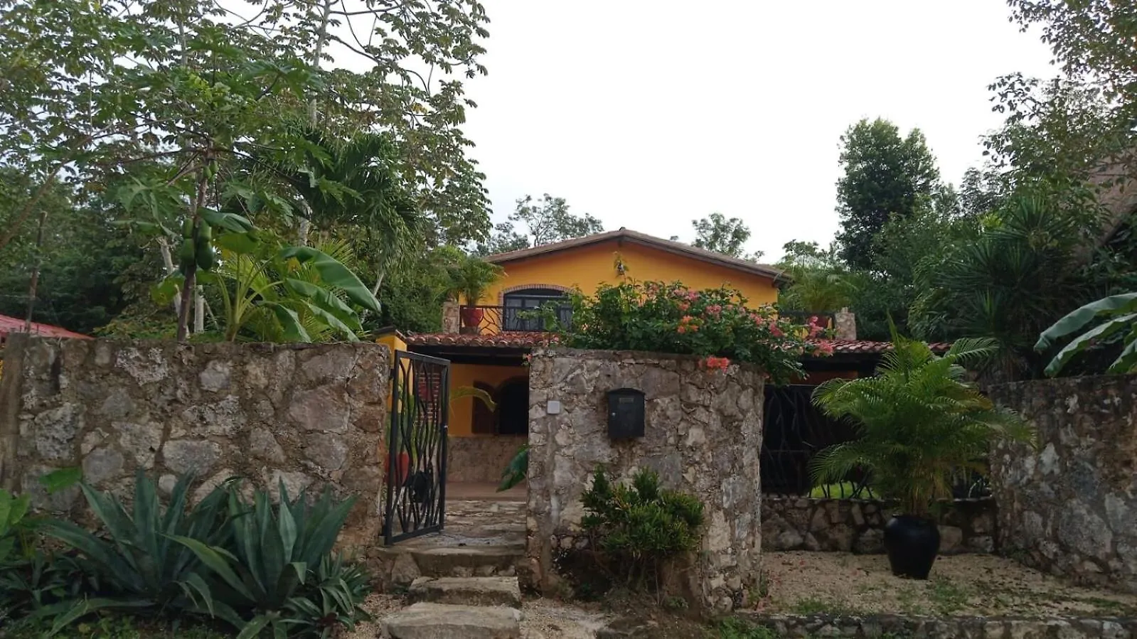 Bed and Breakfast Casa Mango Tulum Meksyk