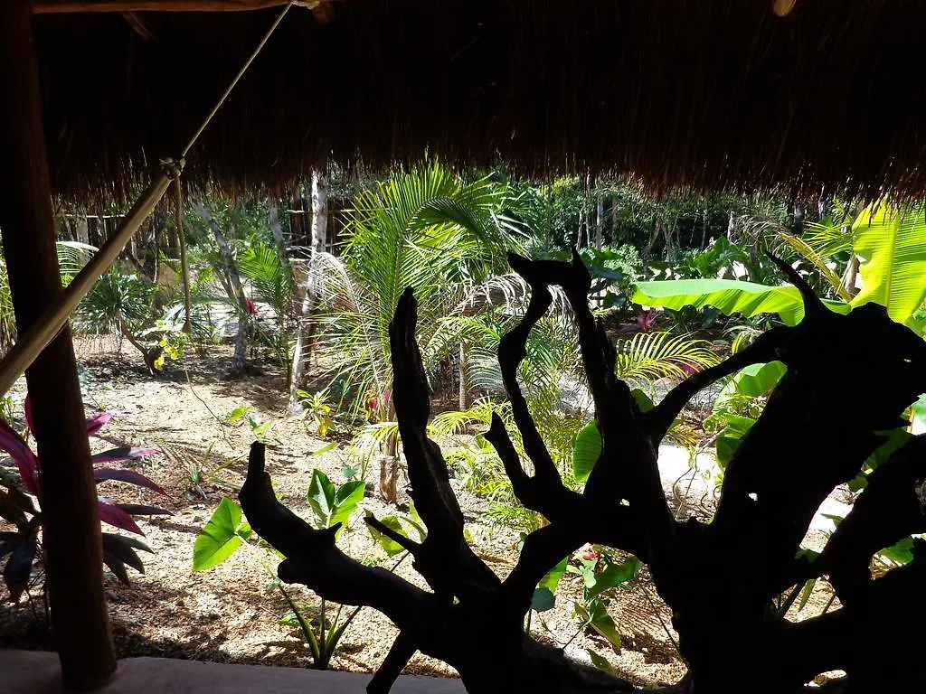 Casa Mango Bed and Breakfast Tulum